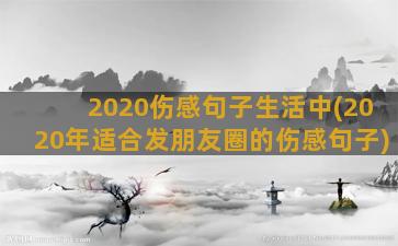 2020伤感句子生活中(2020年适合发朋友圈的伤感句子)