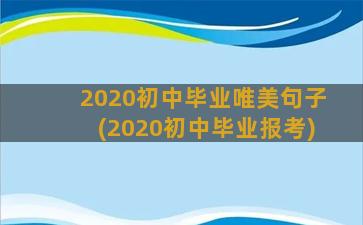 2020初中毕业唯美句子(2020初中毕业报考)