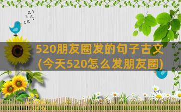 520朋友圈发的句子古文(今天520怎么发朋友圈)