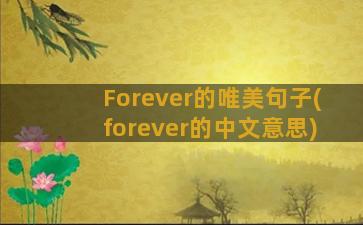 Forever的唯美句子(forever的中文意思)