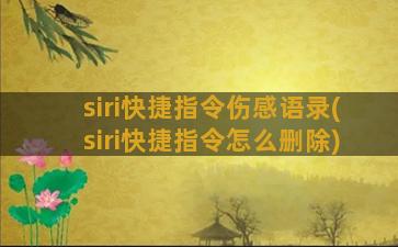 siri快捷指令伤感语录(siri快捷指令怎么删除)