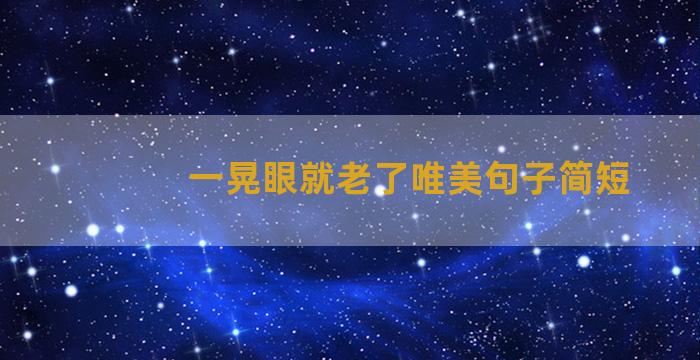 一晃眼就老了唯美句子简短