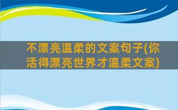 不漂亮温柔的文案句子(你活得漂亮世界才温柔文案)