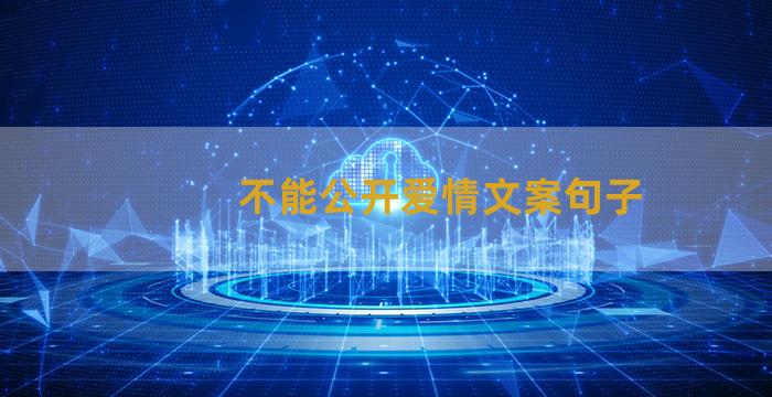 不能公开爱情文案句子