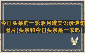 今日头条的一轮明月唯美语录诗句图片(头条和今日头条是一家吗)