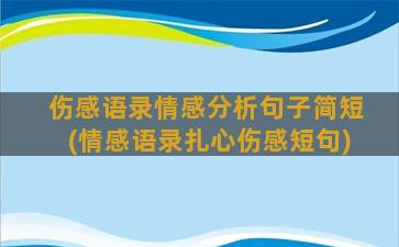 伤感语录情感分析句子简短(情感语录扎心伤感短句)