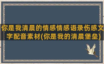 你是我清晨的情感情感语录伤感文字配音素材(你是我的清晨堡垒)