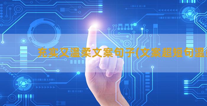 充实又温柔文案句子(文案超短句温柔)