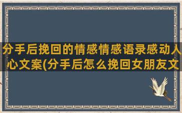 分手后挽回的情感情感语录感动人心文案(分手后怎么挽回女朋友文案)