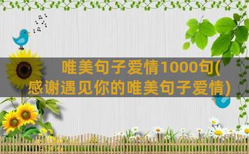 唯美句子爱情1000句(感谢遇见你的唯美句子爱情)