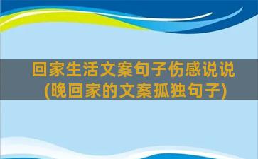 回家生活文案句子伤感说说(晚回家的文案孤独句子)