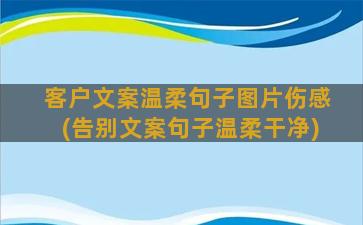 客户文案温柔句子图片伤感(告别文案句子温柔干净)