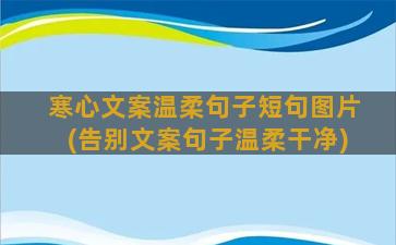 寒心文案温柔句子短句图片(告别文案句子温柔干净)