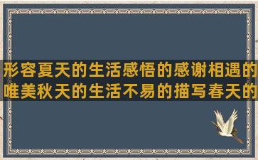 形容夏天的生活感悟的感谢相遇的唯美秋天的生活不易的描写春天的句子有哪些(形容夏天农村生活的词语)