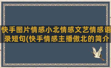 快手图片情感小北情感文艺情感语录短句(快手情感主播傲北的简介)