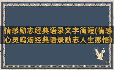 情感励志经典语录文字简短(情感心灵鸡汤经典语录励志人生感悟)