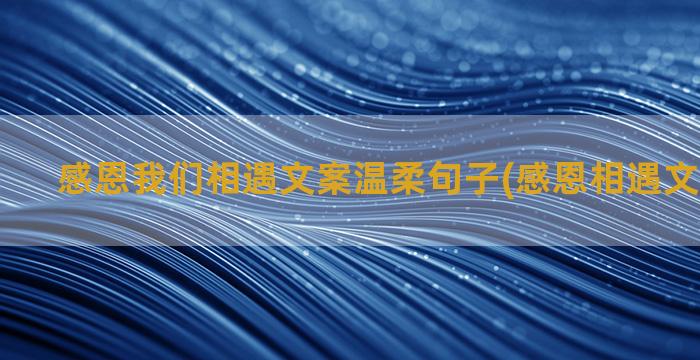 感恩我们相遇文案温柔句子(感恩相遇文案怎么写)