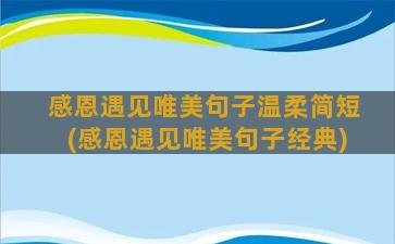 感恩遇见唯美句子温柔简短(感恩遇见唯美句子经典)