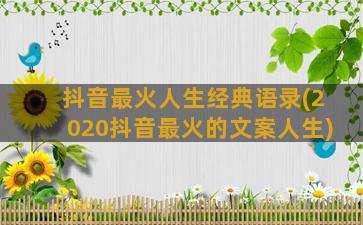 抖音最火人生经典语录(2020抖音最火的文案人生)