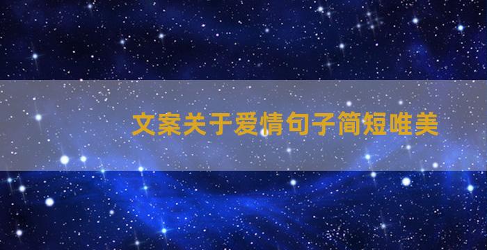 文案关于爱情句子简短唯美