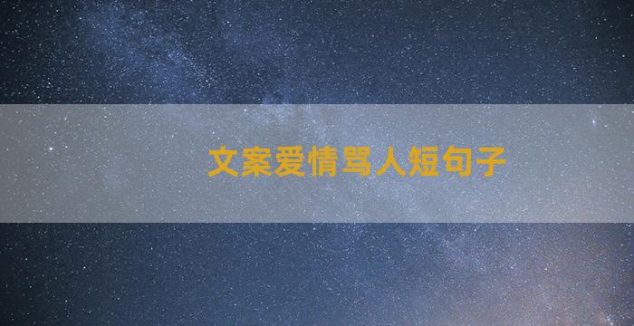 文案爱情骂人短句子