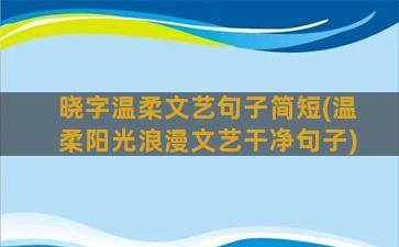 晓字温柔文艺句子简短(温柔阳光浪漫文艺干净句子)