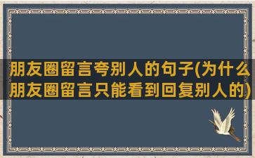 朋友圈留言夸别人的句子(为什么朋友圈留言只能看到回复别人的)