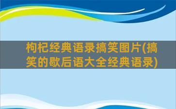 枸杞经典语录搞笑图片(搞笑的歇后语大全经典语录)