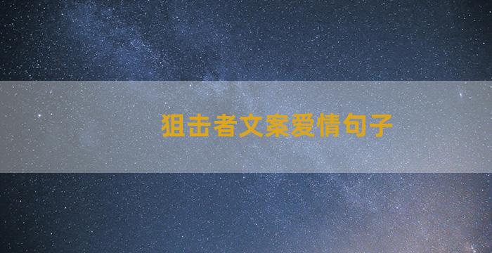 狙击者文案爱情句子