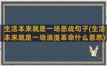 生活本来就是一场恶战句子(生活本来就是一场浪漫革命什么意思)