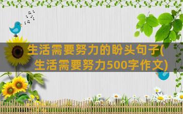 生活需要努力的盼头句子(生活需要努力500字作文)