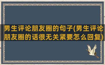 男生评论朋友圈的句子(男生评论朋友圈的话很无关紧要怎么回复)