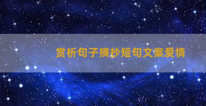 赏析句子摘抄短句文案爱情