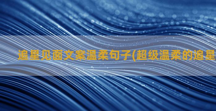 追星见面文案温柔句子(超级温柔的追星文案简短)