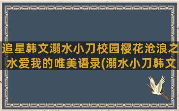 追星韩文溺水小刀校园樱花沧浪之水爱我的唯美语录(溺水小刀韩文名)